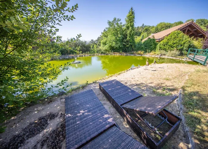 Vila Zenitude - Indoor Pool & Jacuzzi
