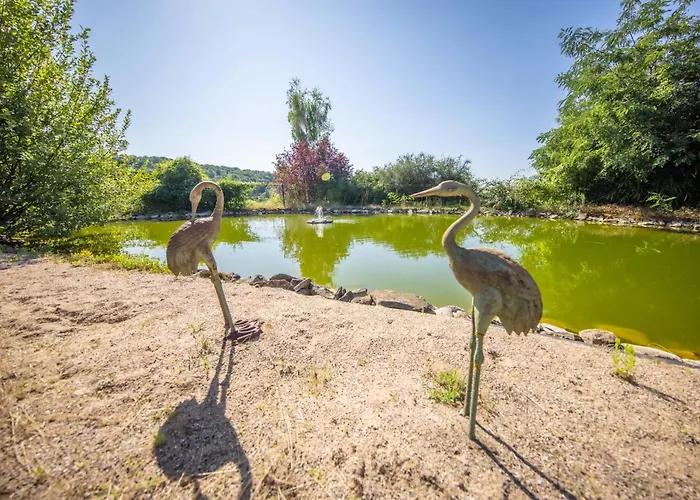 Zenitude - Indoor Pool & Jacuzzi Vila